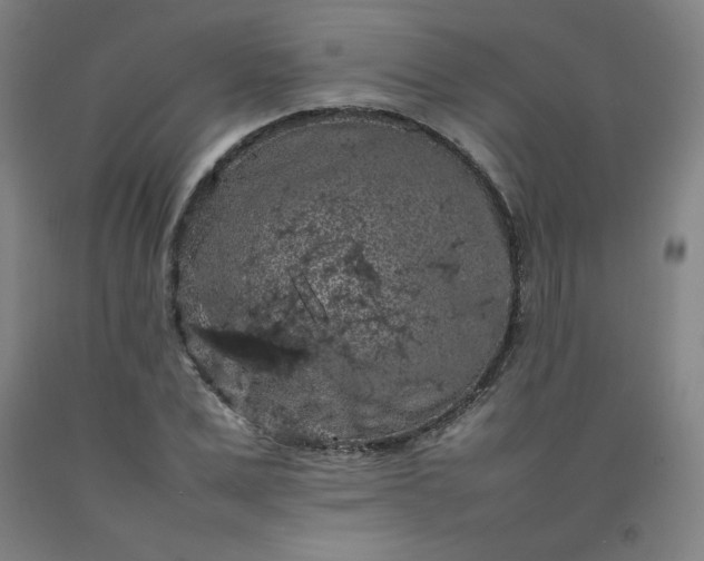X0000092220975200709281040