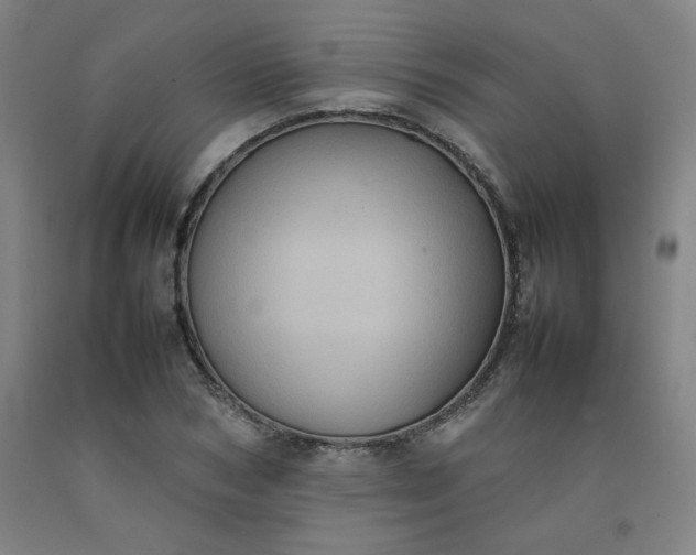 X0000092220978200709281040