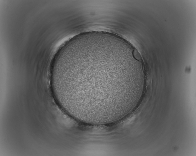 X0000092220979200709281040