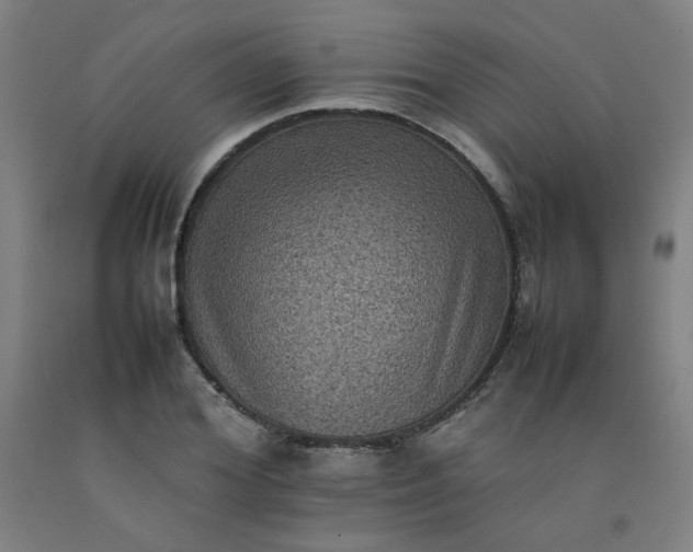 X0000092220980200709281040