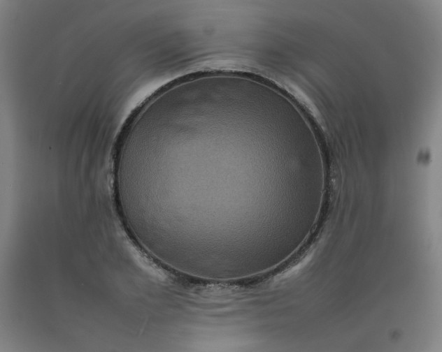 X0000092220981200709281040