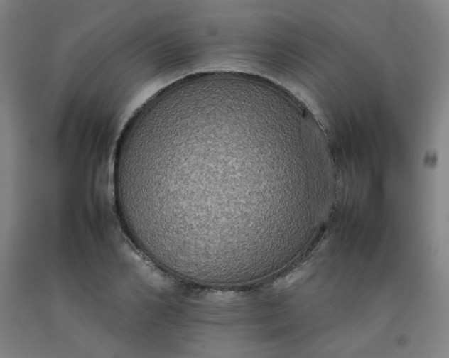 X0000092220982200709281040