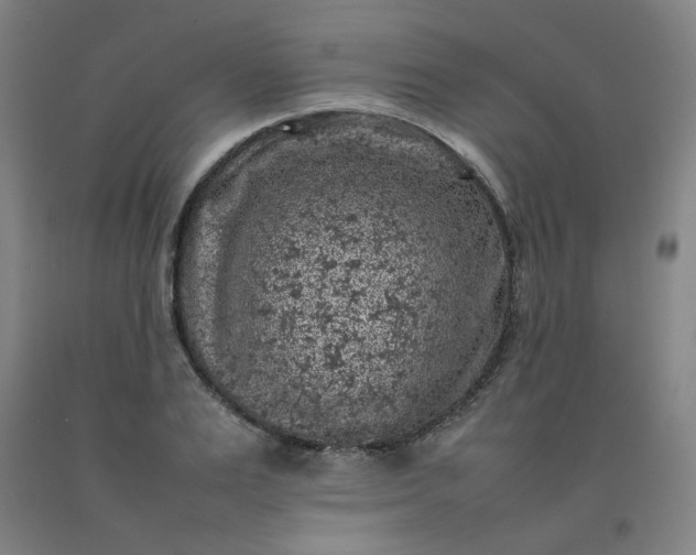 X0000092220983200709281040
