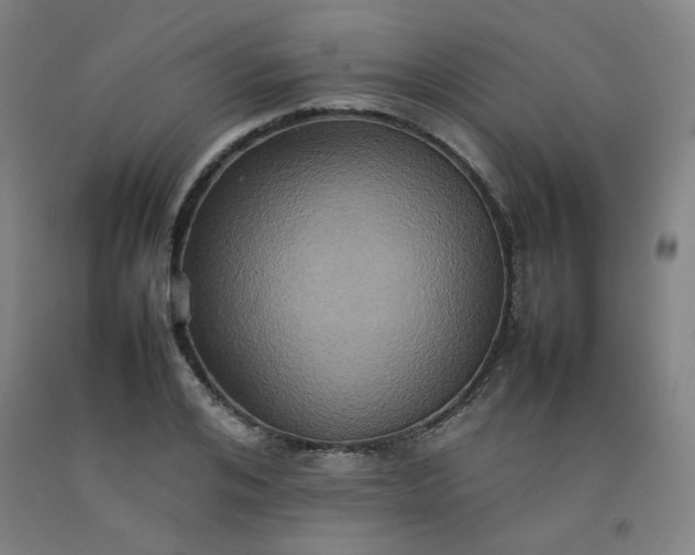 X0000092220984200709281040
