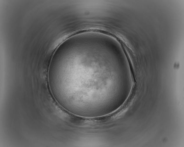 X0000092220985200709281040