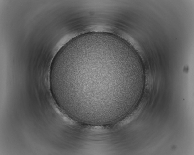 X0000092220986200709281040