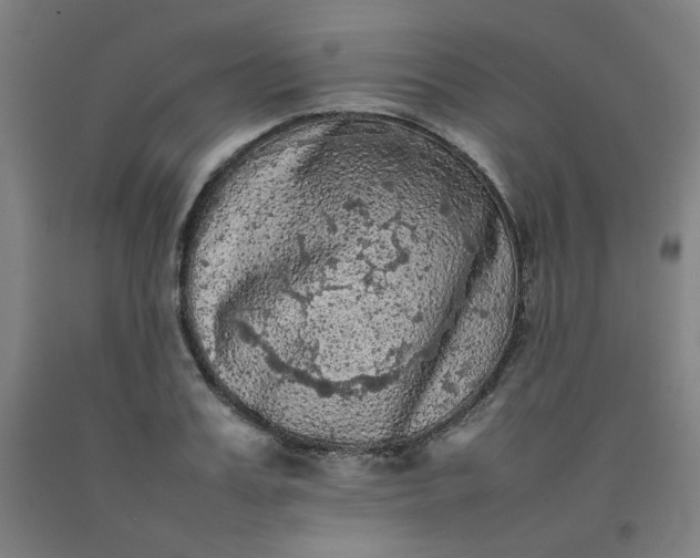 X0000092220987200709281040