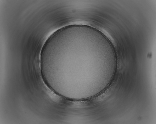 X0000092220988200709281040