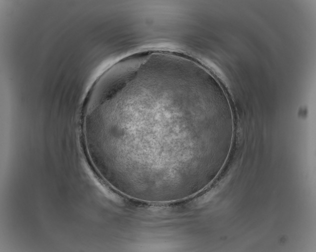 X0000092220989200709281039