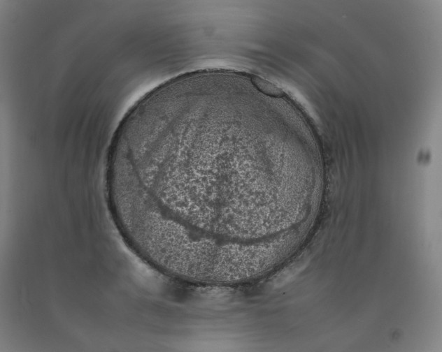 X0000092220991200709281039