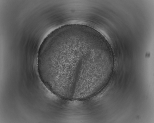 X0000092220992200709281039