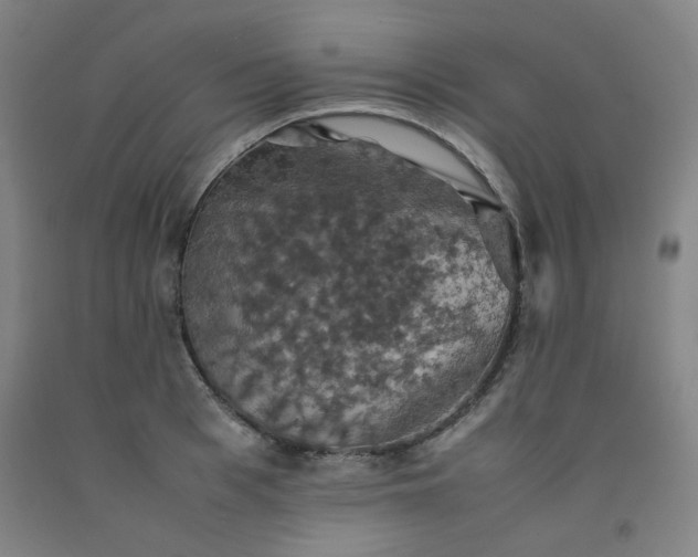 X0000092220993200709281039
