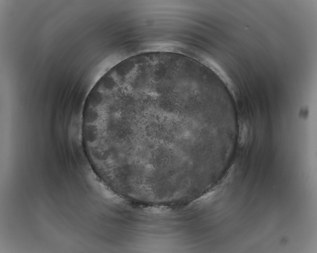 X0000092220994200709281039