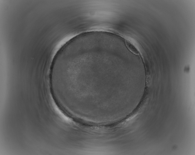 X0000092220995200709281039