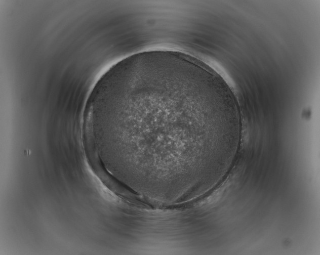X0000092220996200709281039