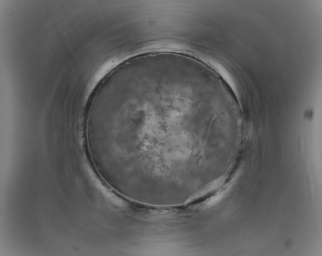X0000092220997200709281039