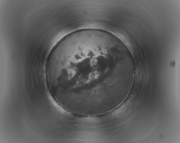 X0000092220998200709281039