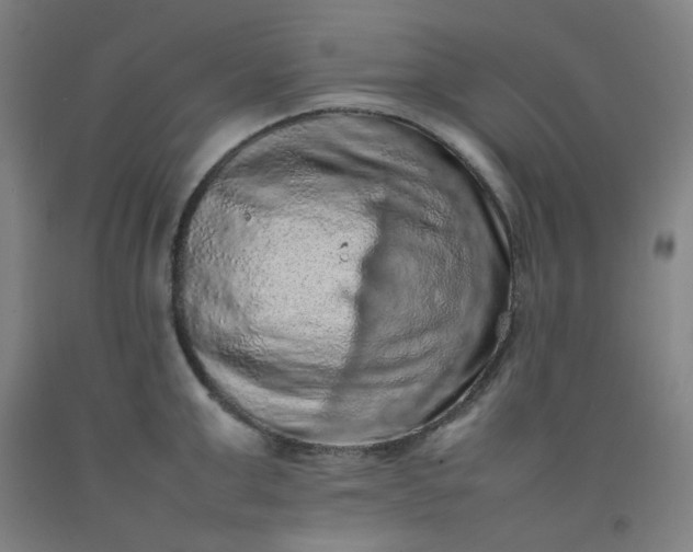 X0000092220999200709281039