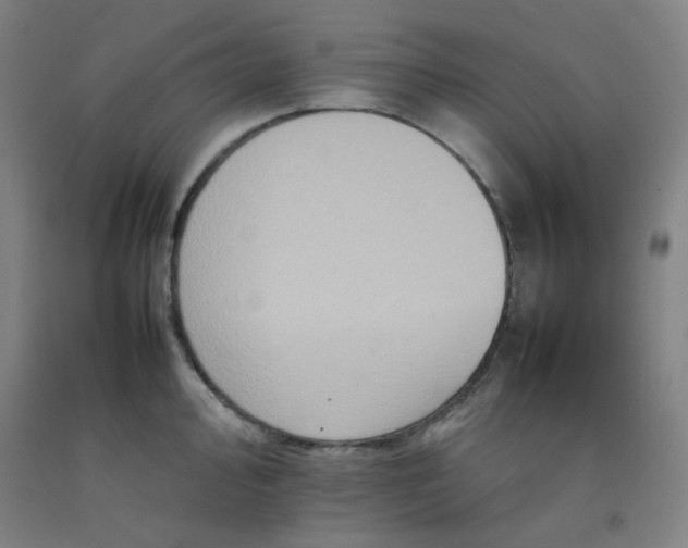 X0000092221000200709281039