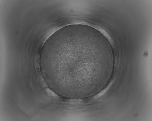 X0000092221001200709281039