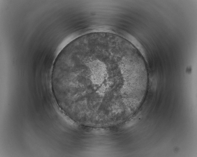 X0000092221002200709281039