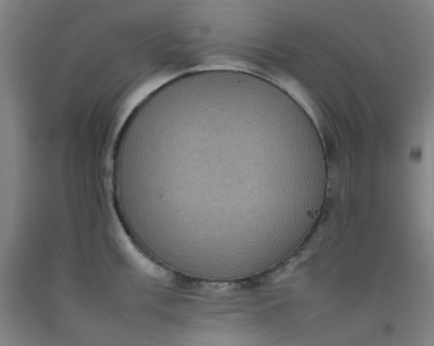 X0000092221003200709281039