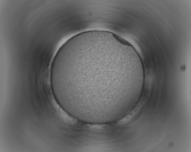 X0000092221004200709281039