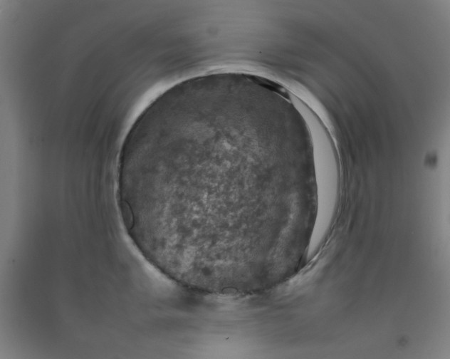X0000092221005200709281039