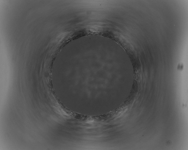 X0000092221009200709281039