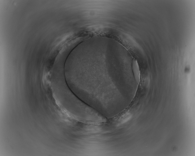 X0000092221010200709281039