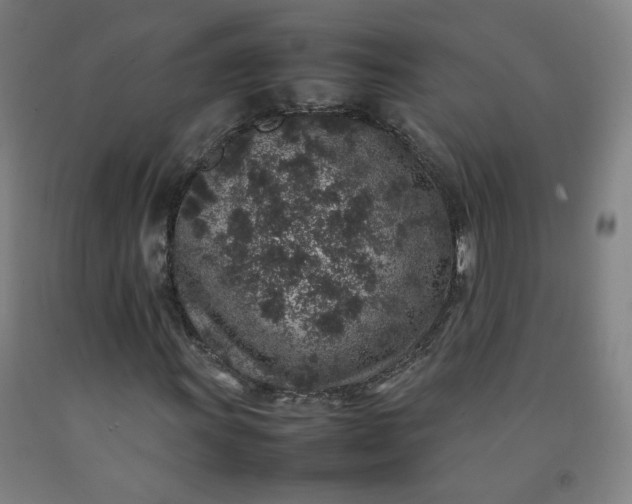 X0000092221011200709281039