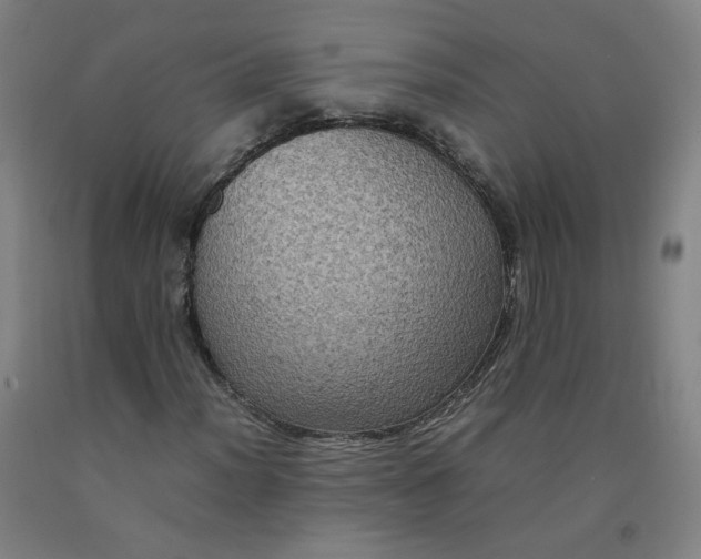 X0000092221012200709281039