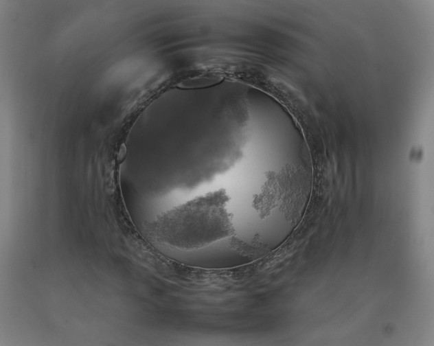 X0000092221013200709281039