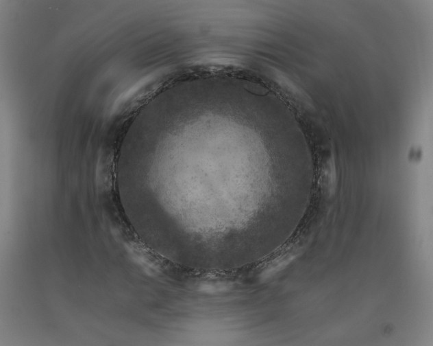 X0000092221014200709281039