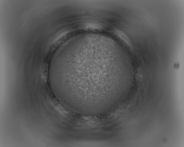 X0000092221015200709281039