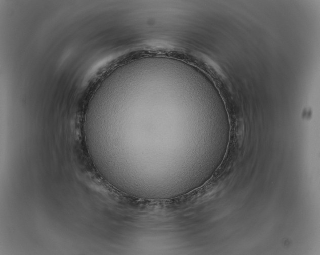 X0000092221016200709281039