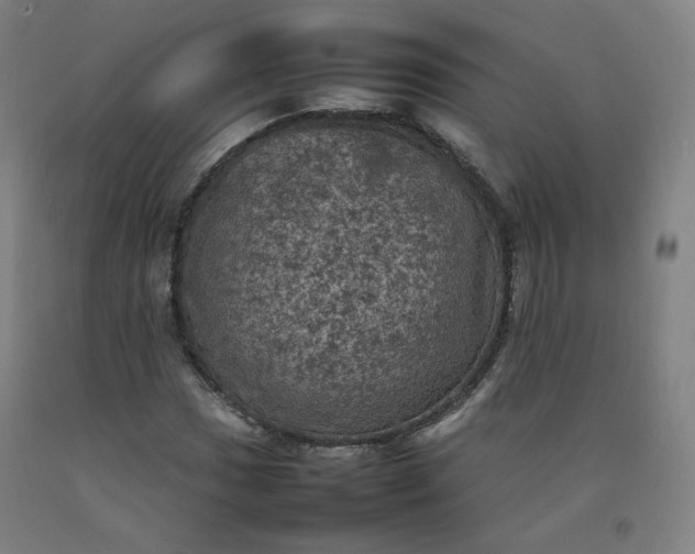 X0000092221017200709281039