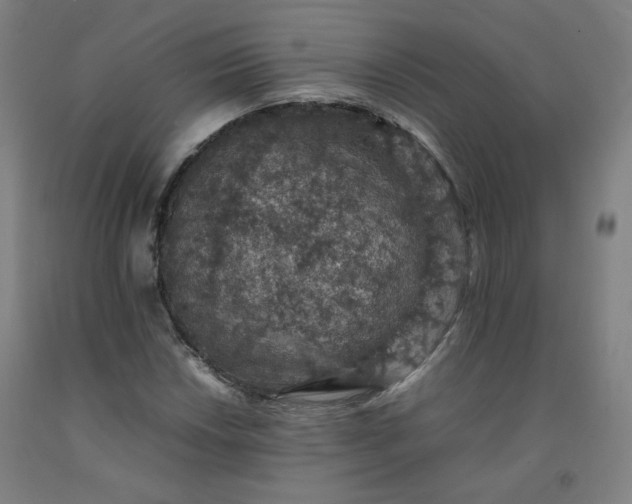 X0000092221018200709281039