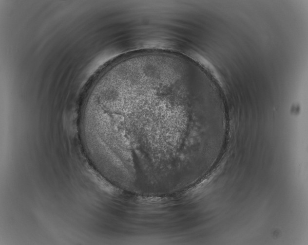 X0000092221019200709281039