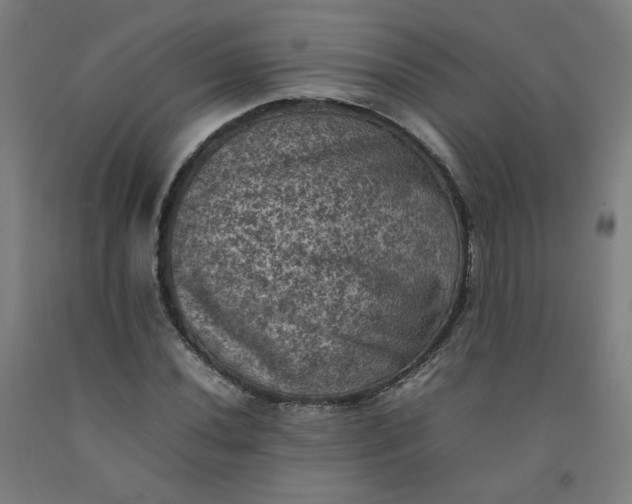 X0000092221020200709281039