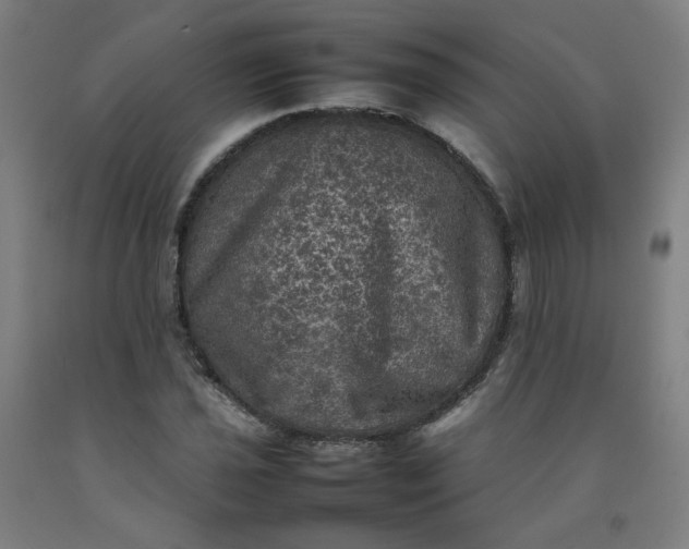 X0000092221021200709281039