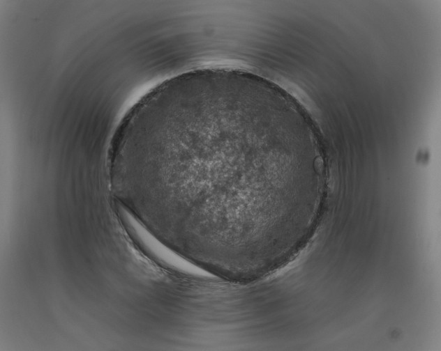 X0000092221022200709281039
