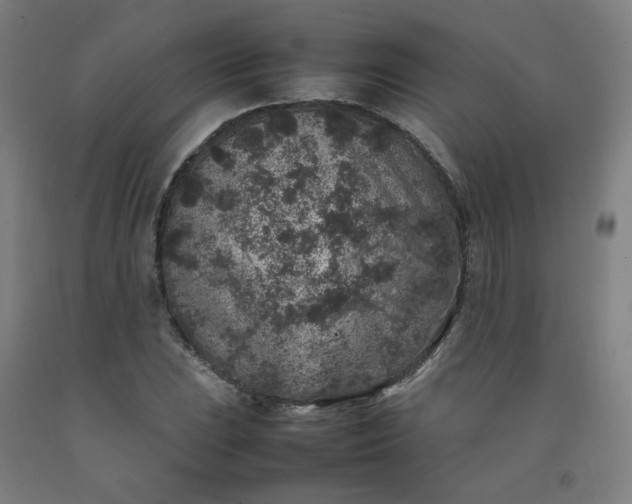 X0000092221023200709281039