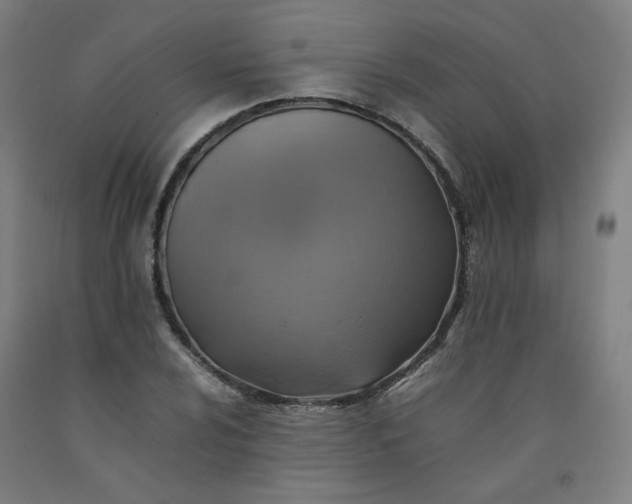 X0000092221024200709281039