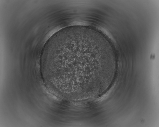 X0000092221025200709281039
