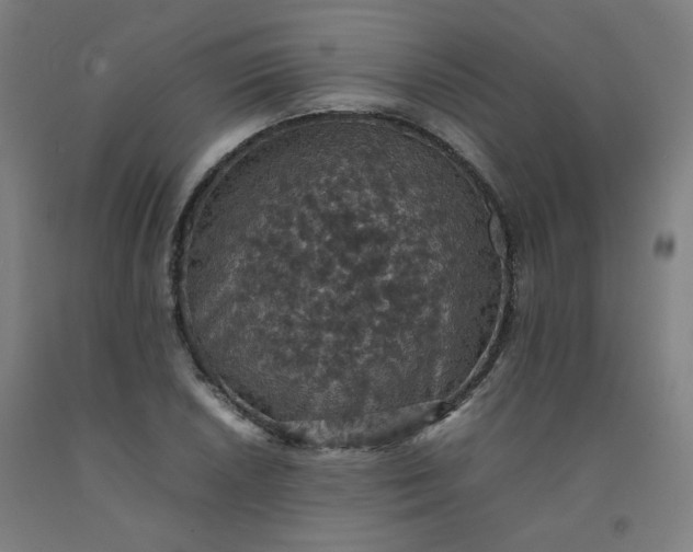 X0000092221026200709281039