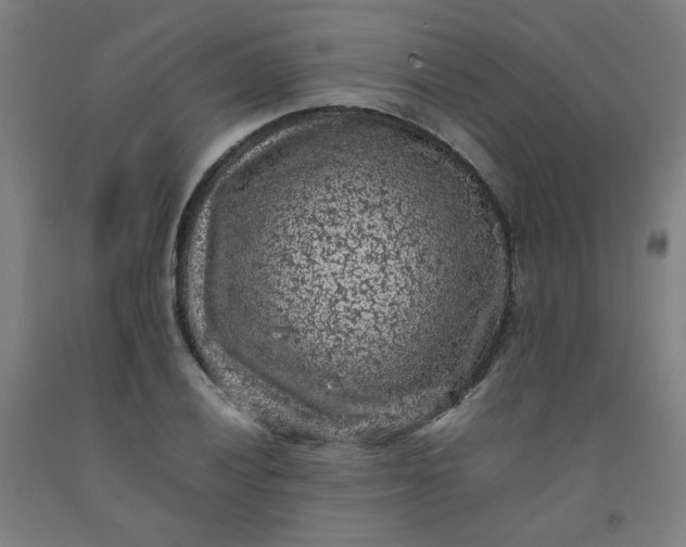 X0000092221028200709281039