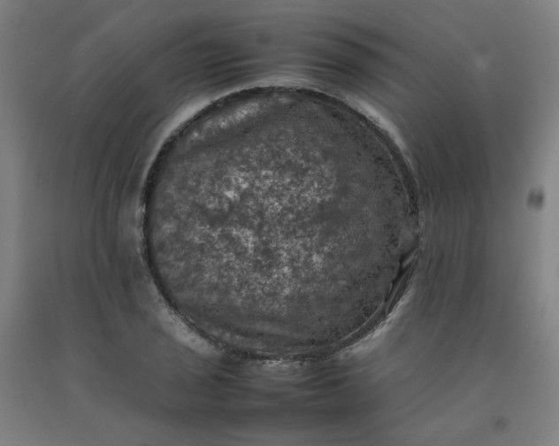 X0000092221029200709281039