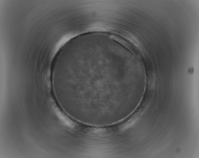 X0000092221030200709281039
