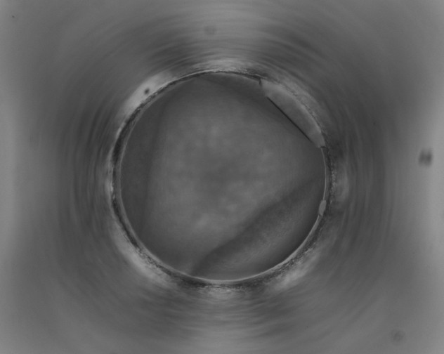 X0000092221034200709281039